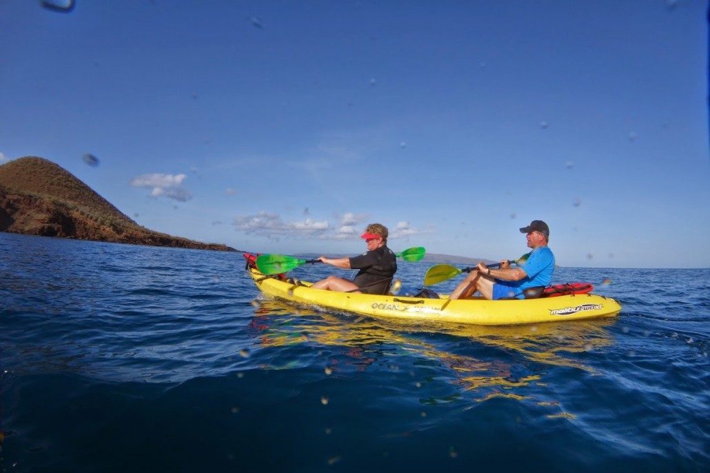 Maui Kayak Tours Private Kayaking Trips Local Guide