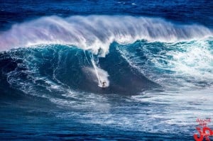 Surfing Maui Jaws