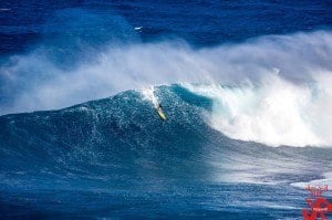 Surfing Jaws