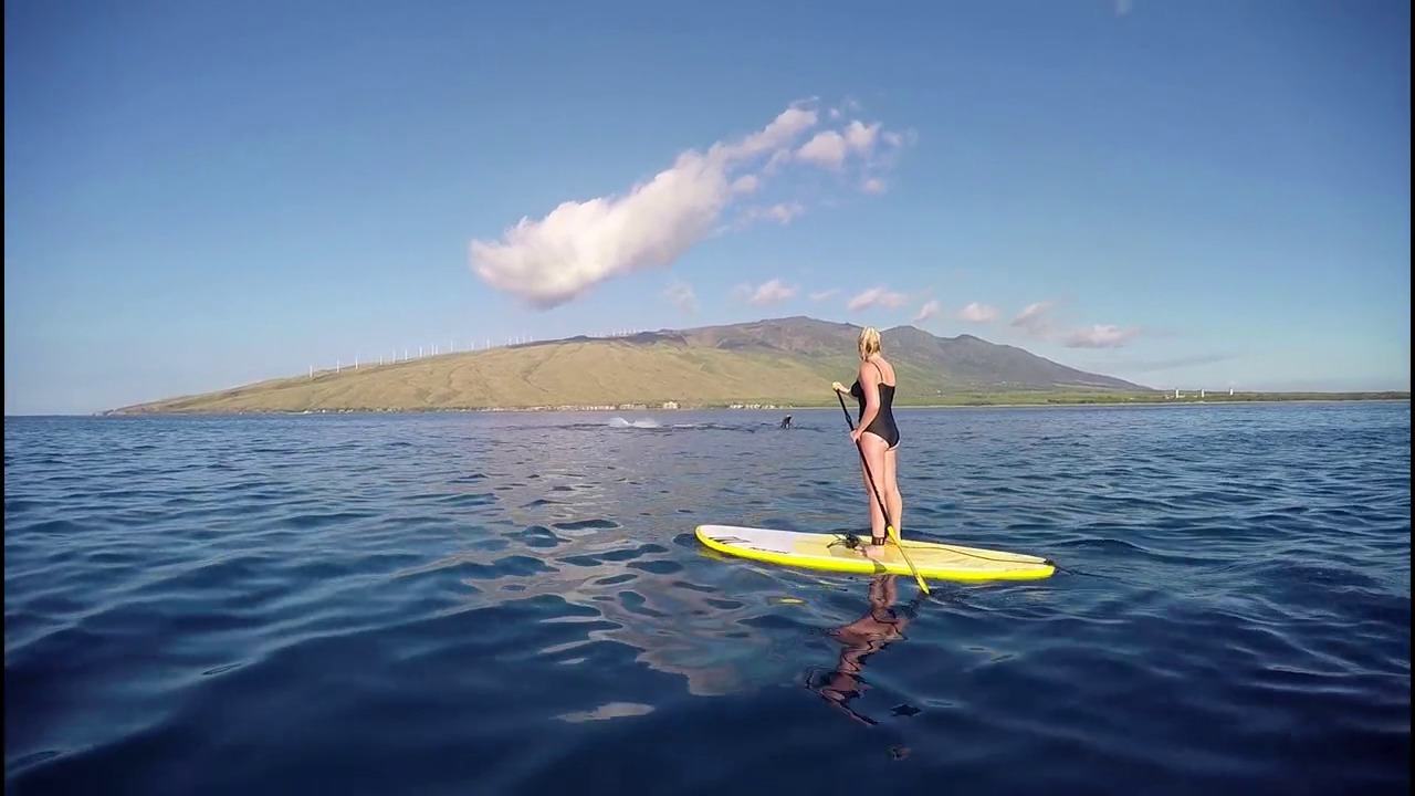 Maui Stand Up Paddle Board Lessons Maui SUP Tours