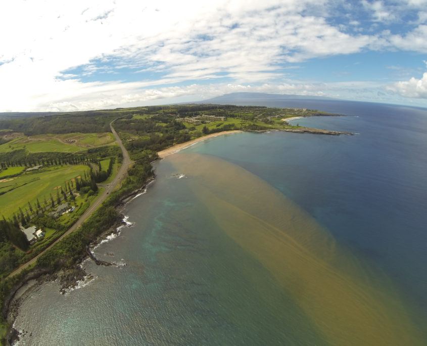 La`ie Wetlands