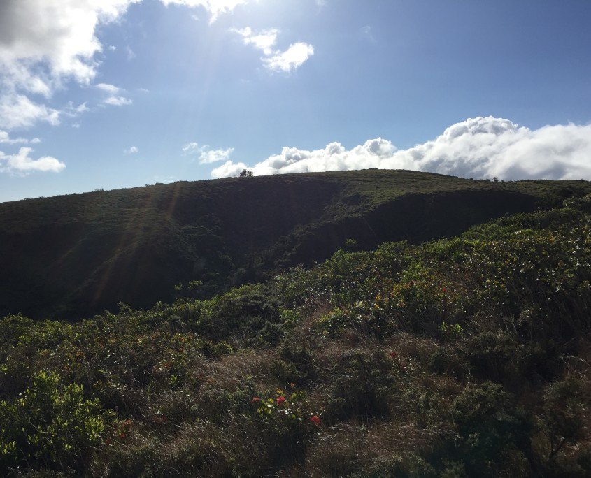 Maui Cultural Lands