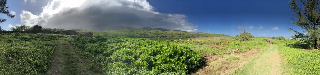 Hawaiian Island Land Trust Maui