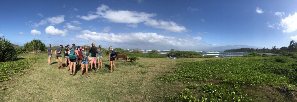 Hawaiian Islands Land Trust Expansive Coastline