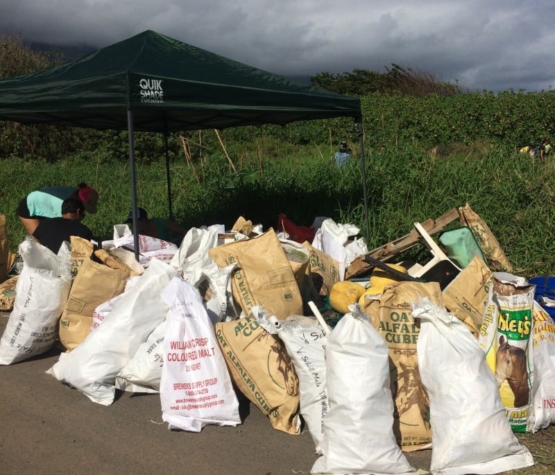Over 100 Bags of Rubbish Collected during Beach Cleanup