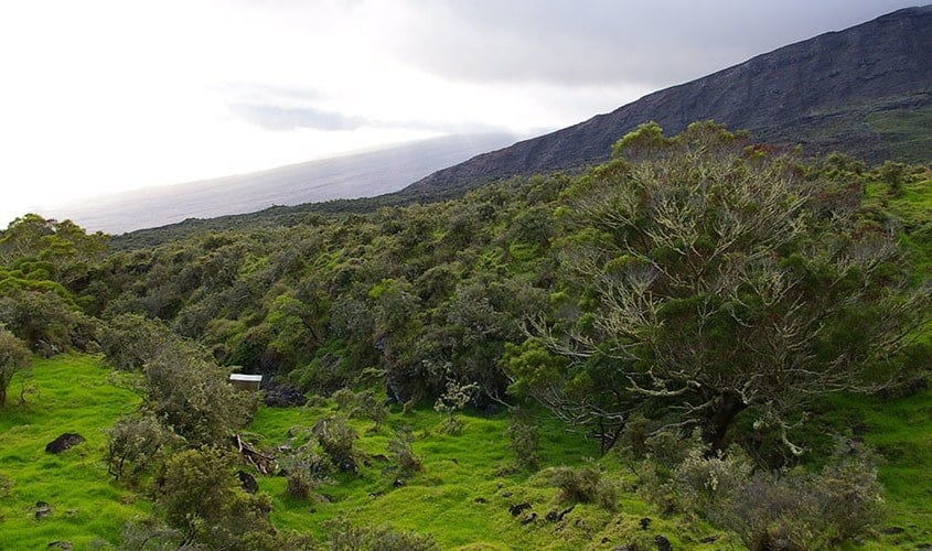 Kaupo-at-4000-elevation