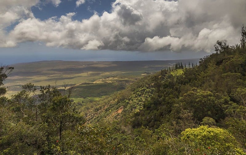 Lanai-at-Koele