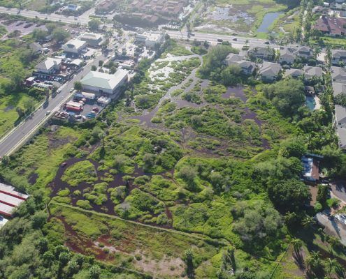 Aerial View of La'ie Wetlands