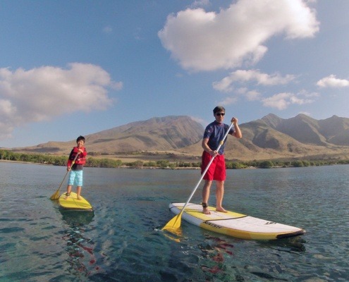 maui and sons stand up paddle