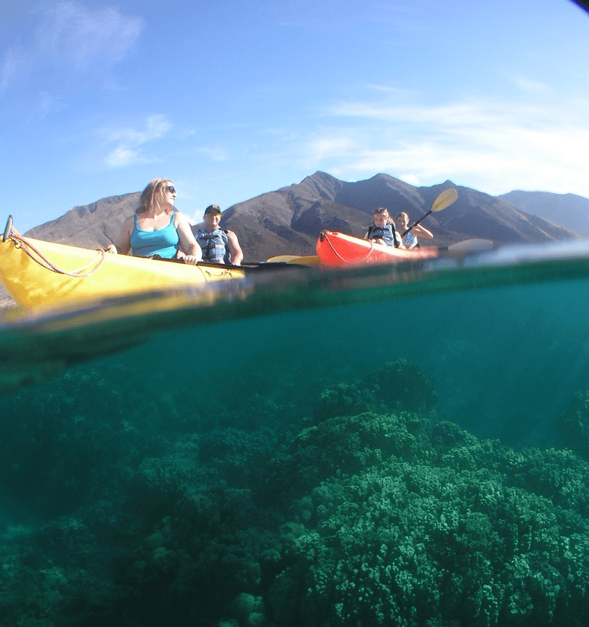 Olowalu Maui Reef Coral Gardens Snorkeling Information