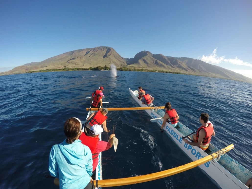 Maui Whale Watching Tours Kayak Canoe SUP Hawaiian ...