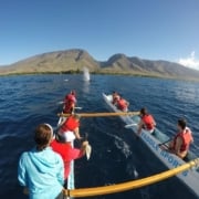 Maui Whale WatchingCanoe Tours