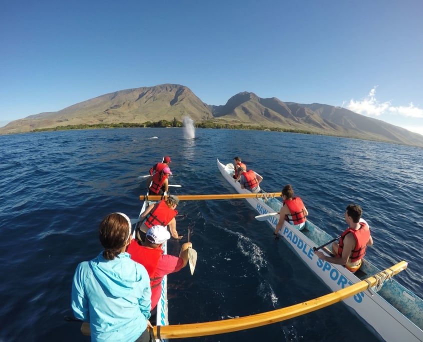 Hawaiian Paddle Sports raised funds for Whale Trust Maui with outrigger canoe tours