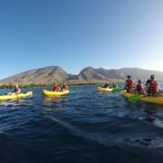 West Maui Coral Gardens Group Kayak Tour