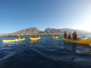 OlowaluYellowKayaksGroup