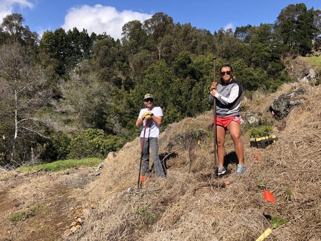 Planting trees outside of Haleakala