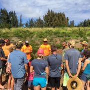 Puu Kukui Watershed
