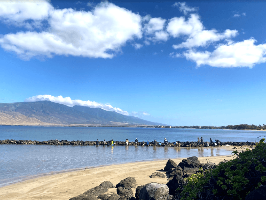 Maui Fishpond