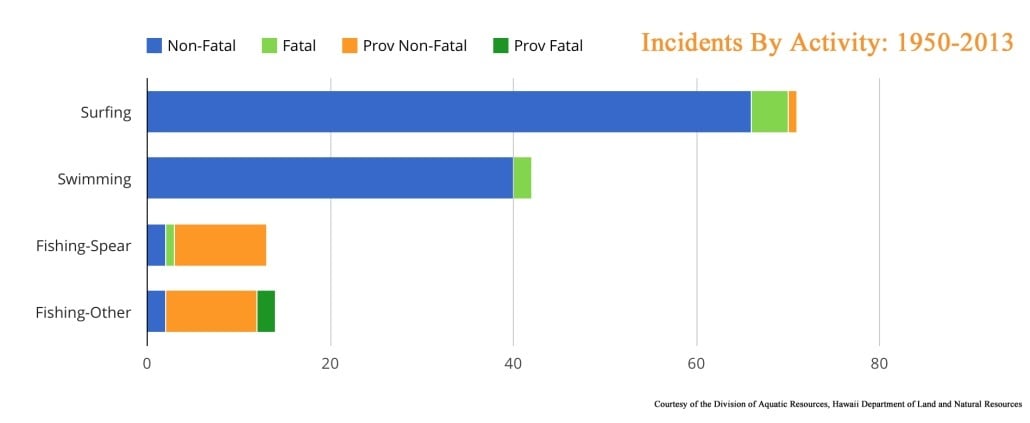 Shark Attacks By Activity