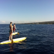 Stand Up PaddleBoard Tours