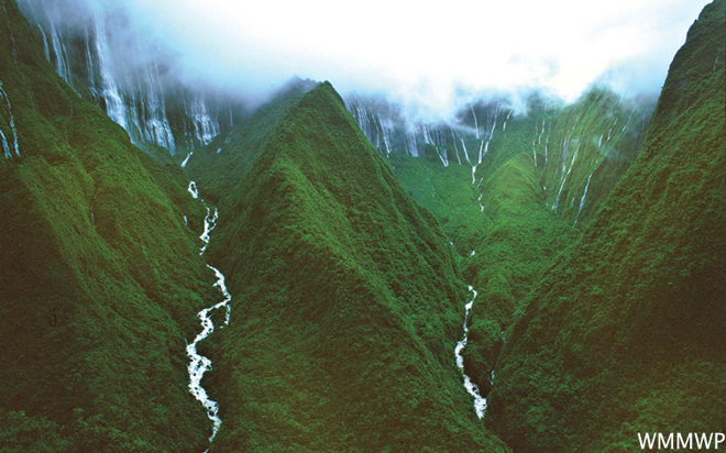 West Maui Mountains Watershed Project