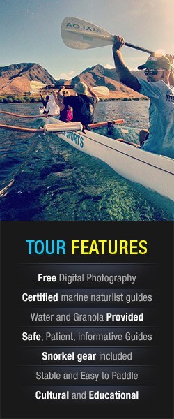 maui canoe surfing tours surf with an outrigger canoe