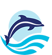 dolphin smart
