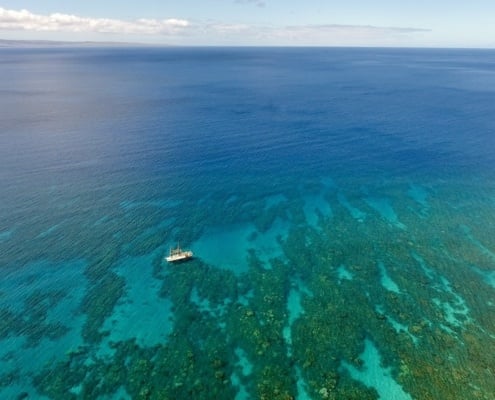 Hokulea Olowalu Drone Shot