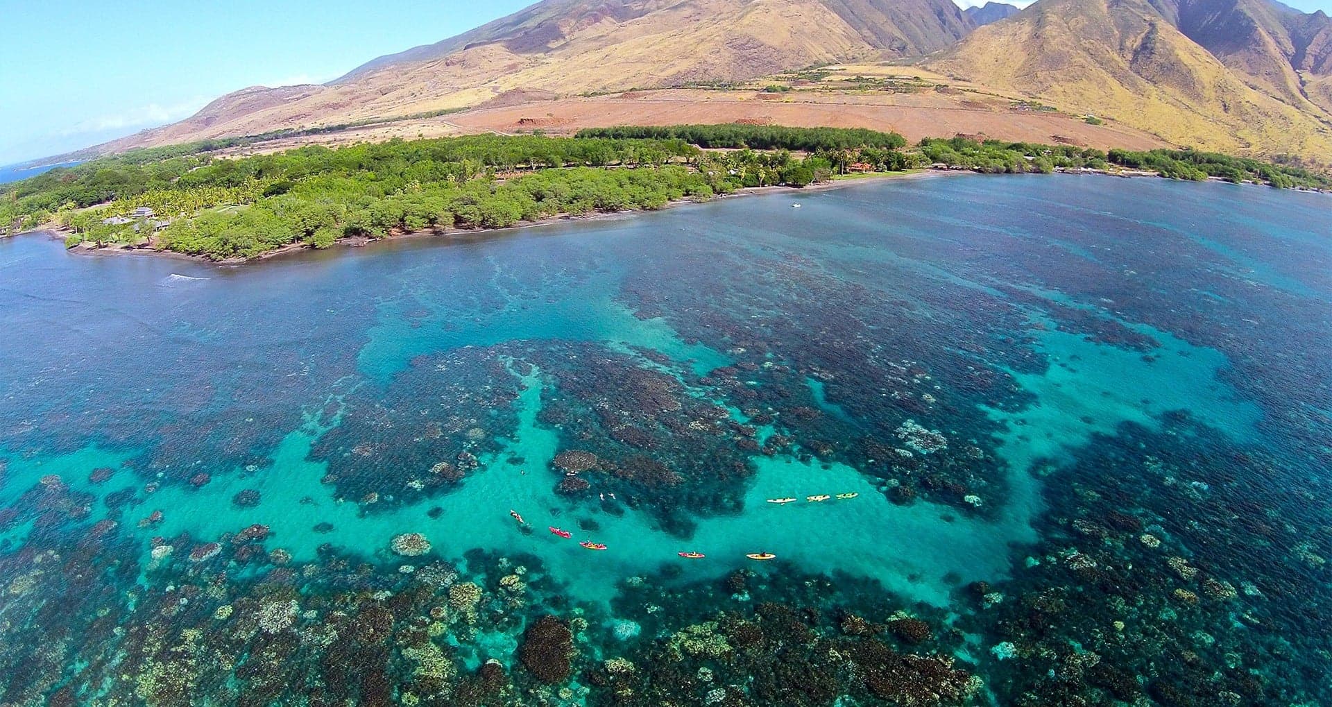 maui-kayak-tours-private-maui-surf-lessons-hawaiian-paddle-sports