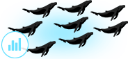 humpback-population-2 humpback whale population