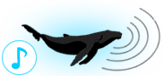 humpback-whale-song humpback whale songs