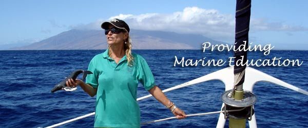 hawaii wildlife fund marine naturalist 