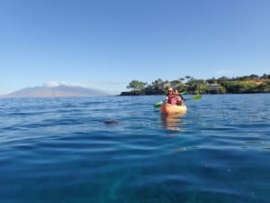 Turtle Kayak Tours