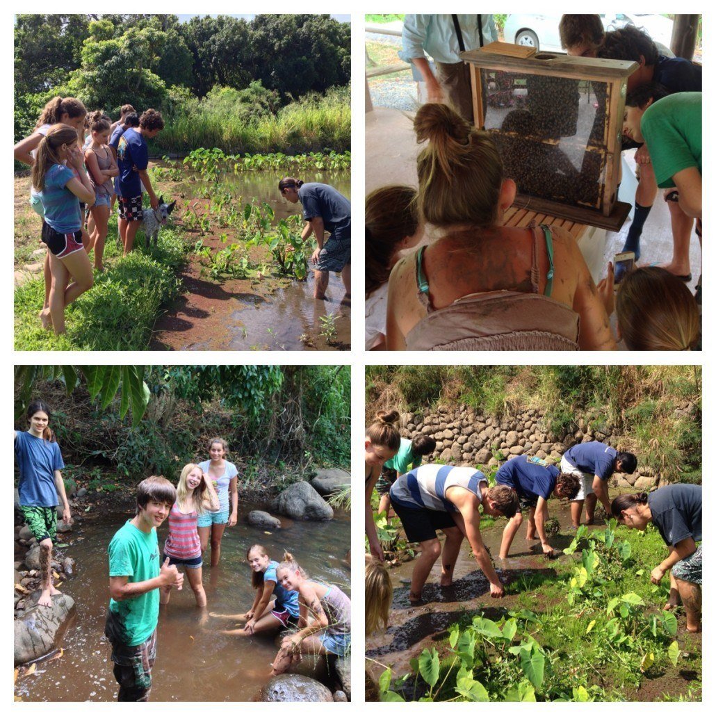 Maui Huliau Foundation environmental youth