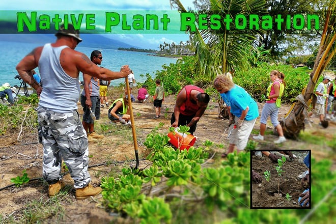 Malama Maui Nui Plant Restoration