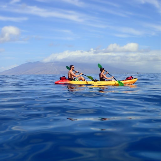 Maui Kayak Tours | Private Kayaking & Snorkeling Trips | Local Guide