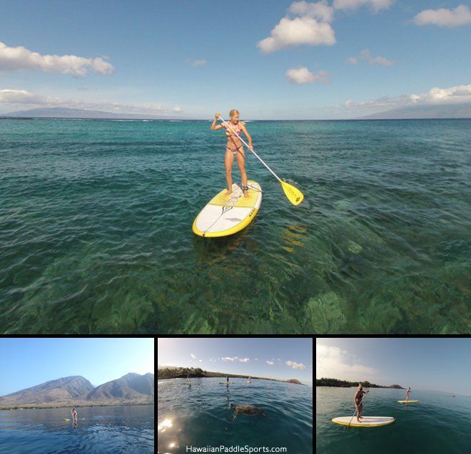 Stand Up Paddle Maui