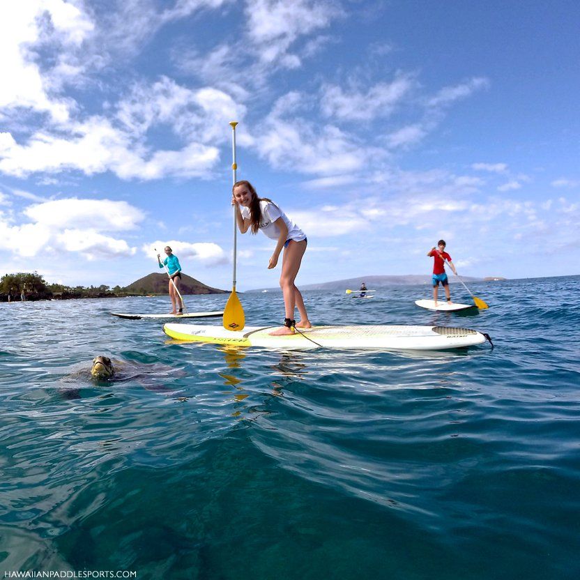 Stand up paddlers