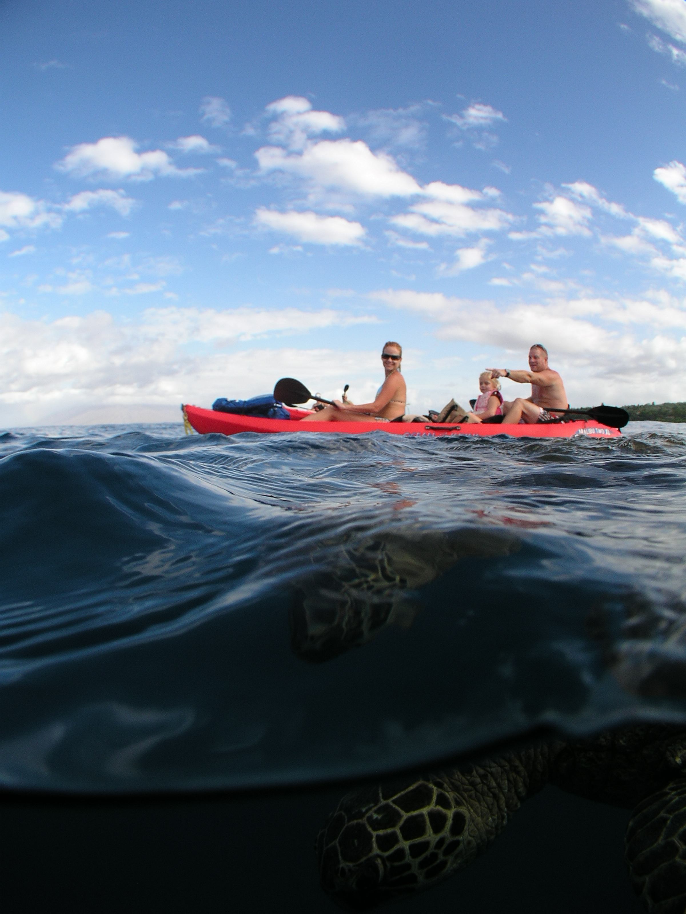 Maui Kayak Tours | Private Kayaking Trips | Local Guide