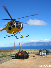 west maui mountains watershed partnership